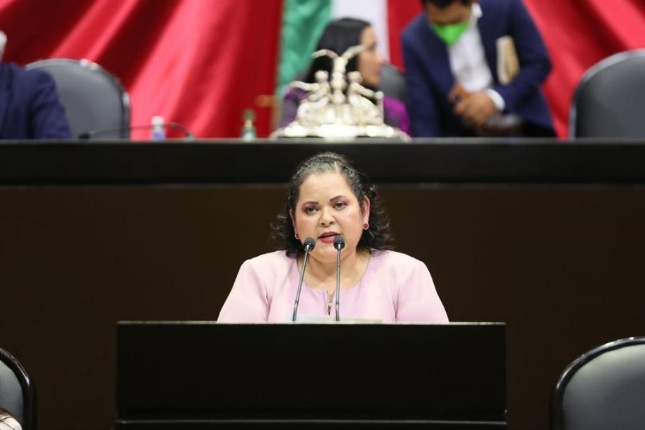 Lograr la paz en México y una participación política efectiva, las prioridades legislativas de Evangelina Moreno
