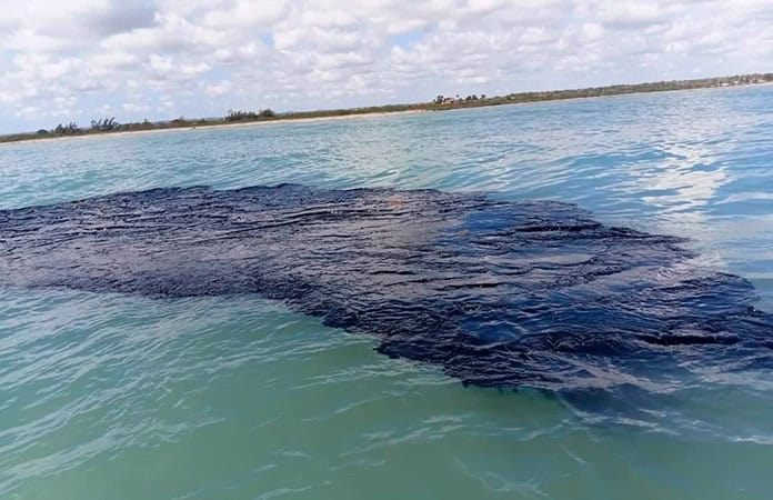 Veracidad, Ante el Derrame Petrolero en el Golfo de México, exige Kenia López