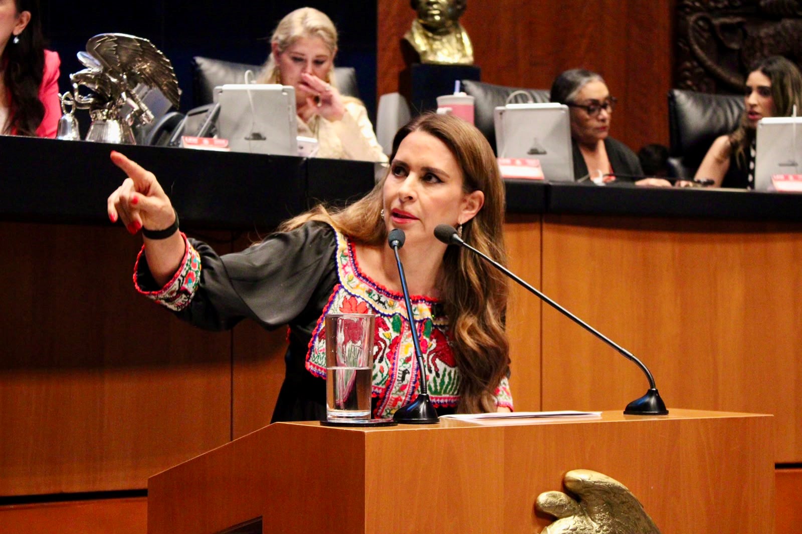Se Intenta Debilitar al Árbitro Electoral en México, Denuncia Senadora Carolina Viggiano